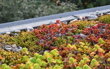 the cost of Hicks Forstal green roof installation
